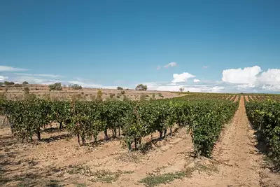 Maison neuve, 120 m²