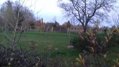 Terrain à bâtir, 710 m²