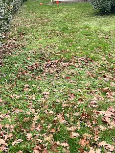 Terrain à bâtir, 655 m²