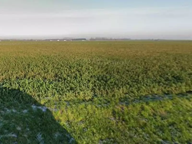 Terrain à bâtir, 494 m² - Lieu-Saint-Amand (59111)