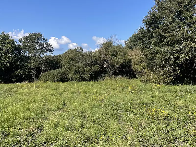 Terrain à bâtir, 504 m² - Herbignac (44410)