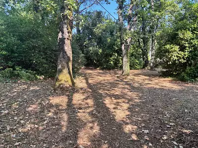 Terrain à bâtir, 1 095 m²