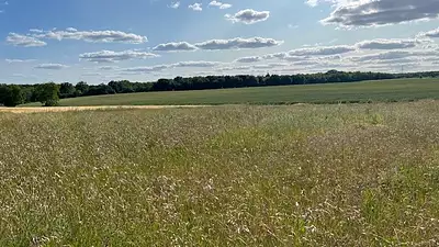 Terrain à bâtir, 1 249 m²