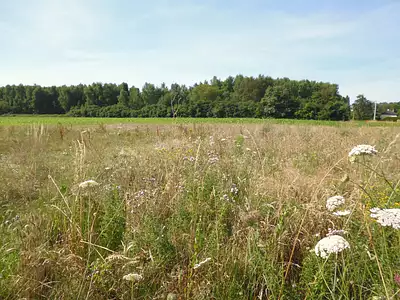 Terrain à bâtir, 1 066 m²