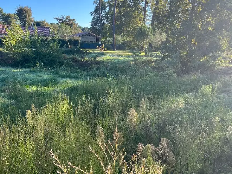 Terrain à bâtir, 950 m² - Saint-Aubin-de-Médoc (33160)