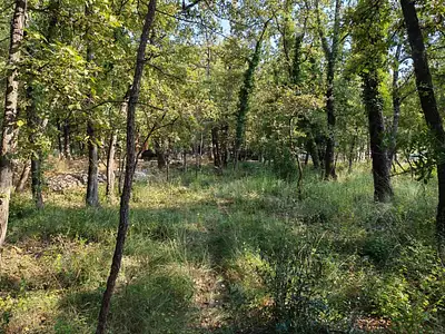 Terrain à bâtir, 717 m²