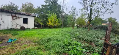 Terrain à bâtir, 1 292 m²