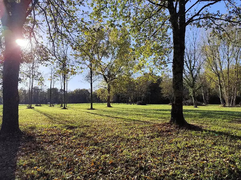 Terrain à bâtir, 1 170 m² - Vertheuil (33180)
