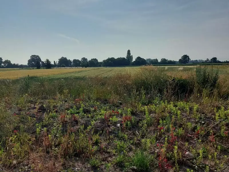 Maison neuve, 125 m² - Houssen (68125)