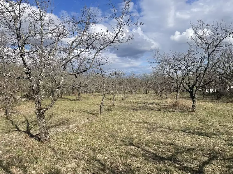 Terrain à bâtir, 1 200 m² - Lhospitalet (46170)