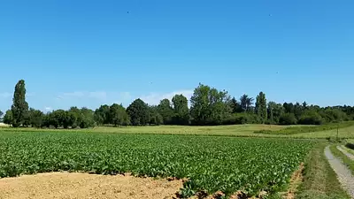 Maison neuve, 95 m²