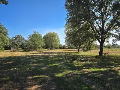 Maison neuve, 50 m²