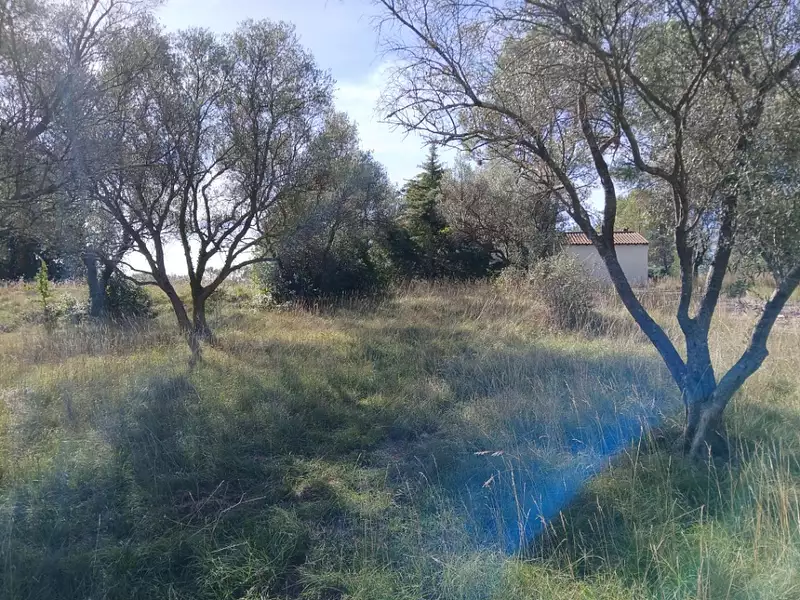 Terrain à bâtir, 500 m² - Valflaunès (34270)