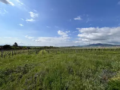 Terrain à bâtir, 742 m²