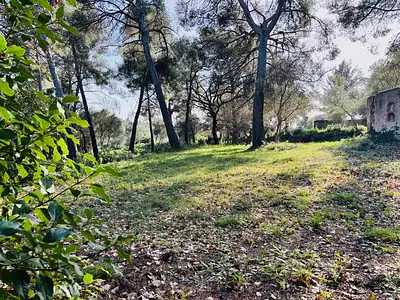 Terrain à bâtir, 500 m²