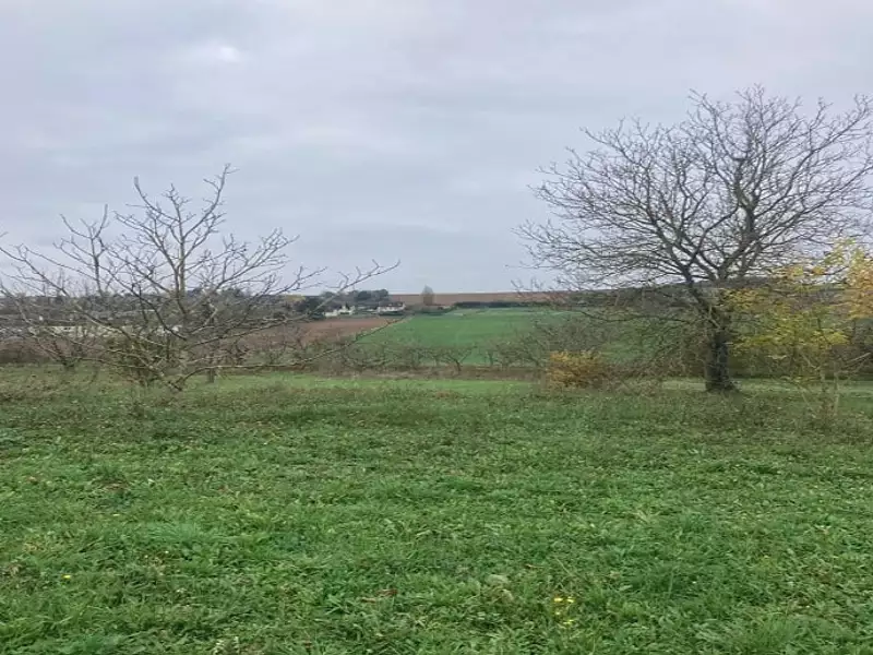 Maison neuve, 79 m² - Soucy (89100)
