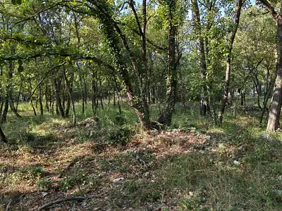 Terrain à bâtir, 717 m²