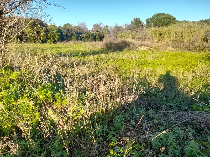 Maison neuve, 80 m² - Puget-Ville (83390)