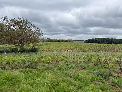 Maison neuve, 120 m²