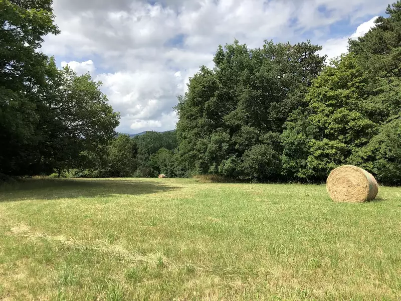Terrain à bâtir, 400 m² - Saint-Jean-de-Thurigneux (01390)