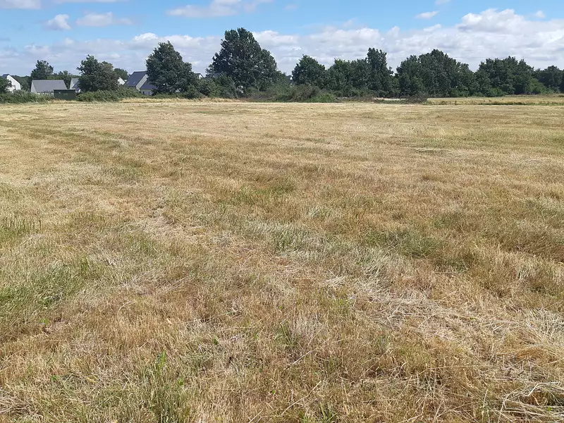 Maison neuve, 94 m² - Saint-Gildas-des-Bois (44530)