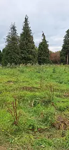 Maison neuve, 92 m²