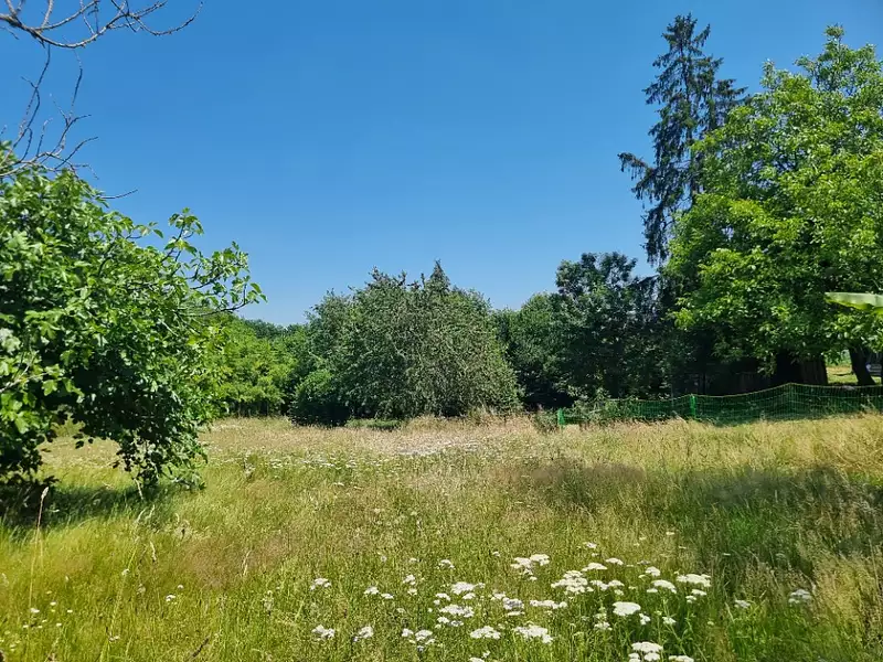 Terrain à bâtir, 2 158 m² - Lagraulière (19700)