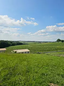 Maison neuve, 110 m²