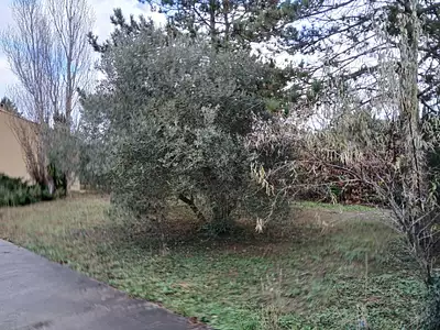 Maison neuve, 112 m²