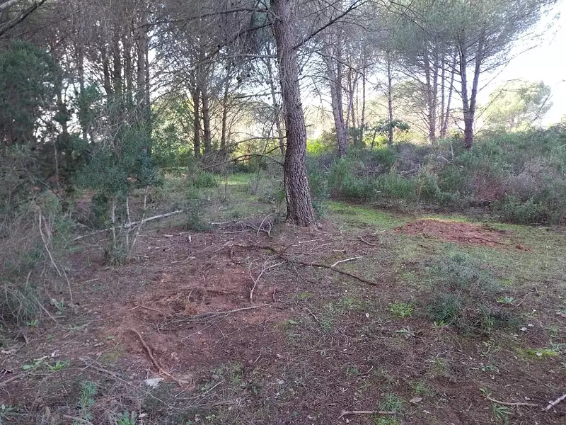 Terrain à bâtir, 656 m² - Puget-sur-Argens (83480)