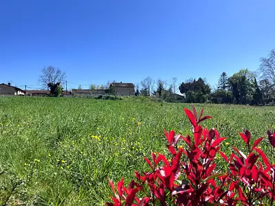 Terrain à bâtir, 803 m²