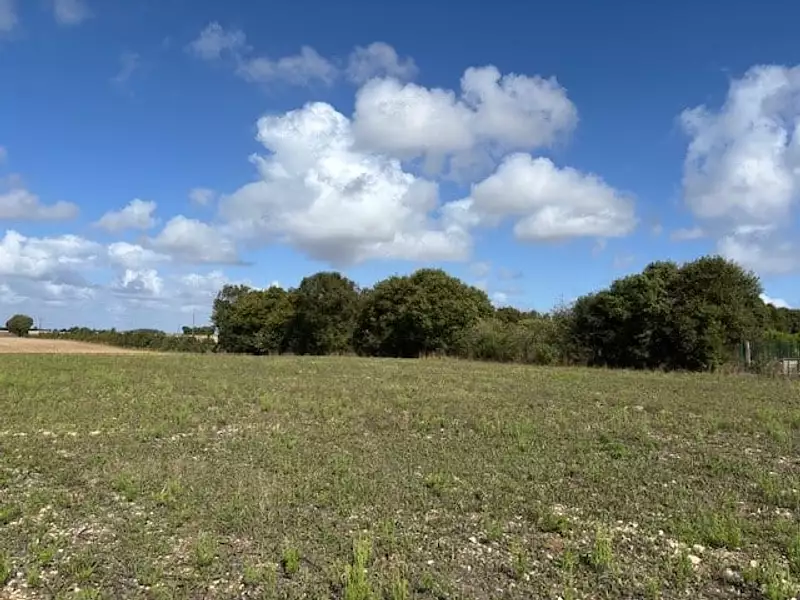 Terrain à bâtir, 1 557 m² - Trizay (17250)