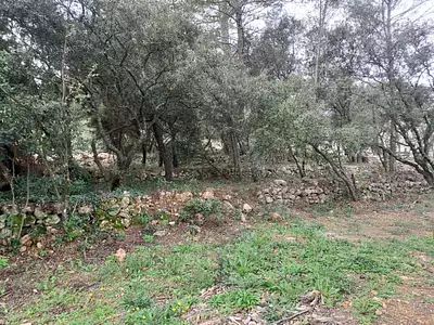 Maison neuve, 70 m²