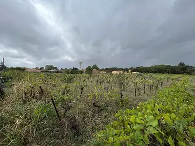 Maison neuve, 162 m²