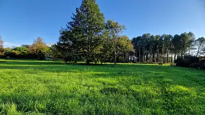 Terrain à bâtir, 1 599 m²