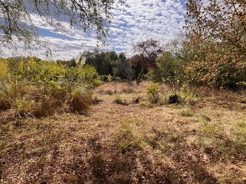 Terrain à bâtir, 4 000 m² - Cénac (33360)