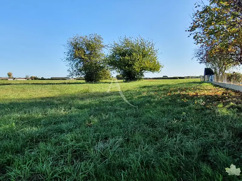 Maison neuve, 130 m² - Chançay (37210)