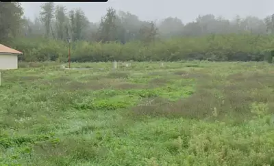 Maison neuve, 100 m²