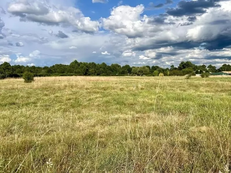 Terrain à bâtir, 1 600 m² - Bazas (33430)