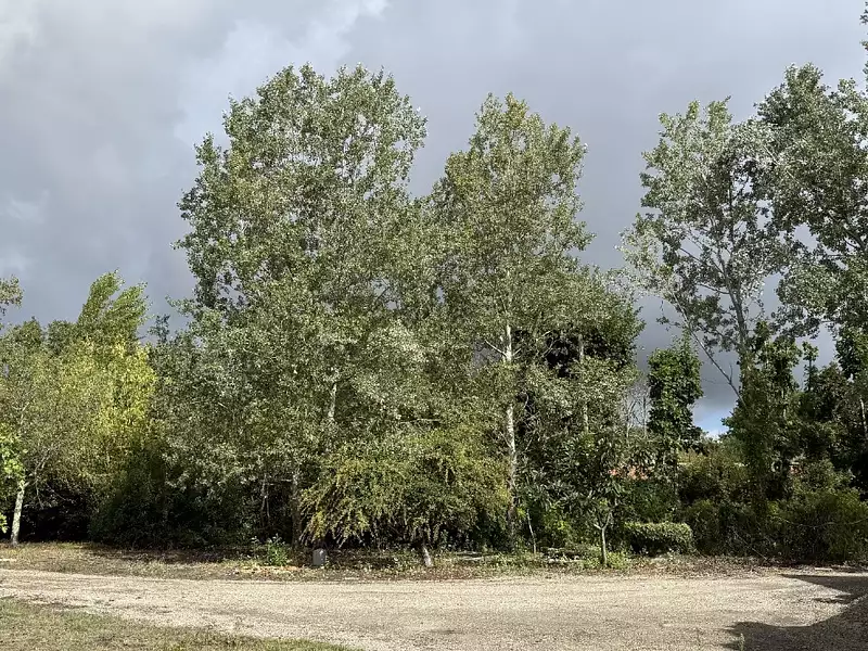 Terrain à bâtir, 551 m² - Le Taillan-Médoc (33320)