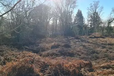 Maison neuve, 125 m²