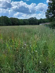 Maison neuve, 101 m²