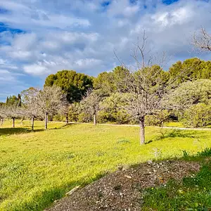 Terrain à bâtir, 2 000 m²