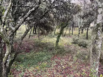 Terrain à bâtir, 1 807 m²