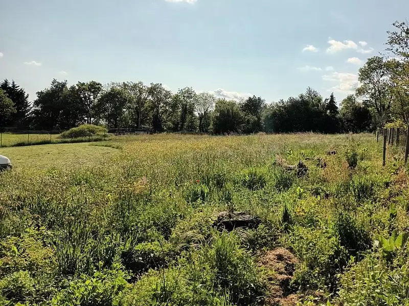 Terrain à bâtir, 2 700 m² - Saint-Denis (11310)
