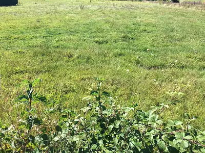 Maison neuve, 115 m²