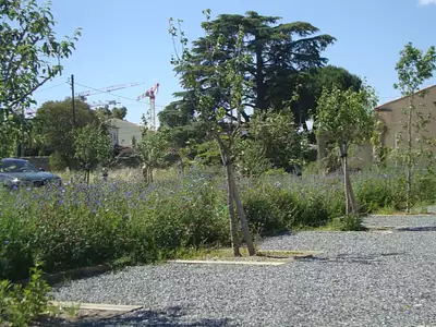 Terrain à bâtir, 255 m²