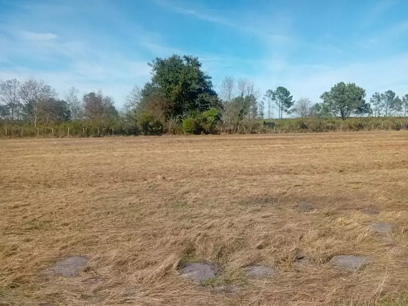 Terrain à bâtir, 610 m² - Biganos (33380)