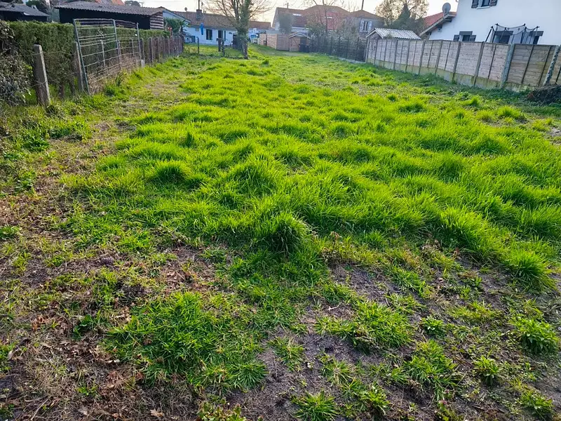 Maison neuve, 80 m² - Salles (33770)