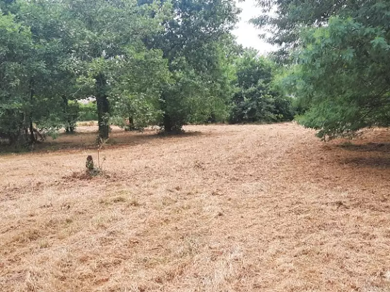 Maison neuve, 85 m² - Salles (33770)